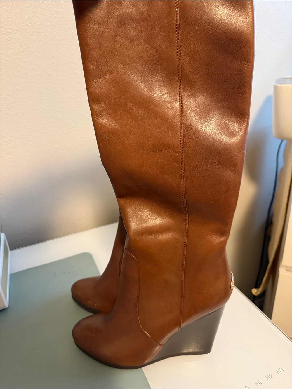 Coach Women's Tall Wedge Knee-High Boot in Brown